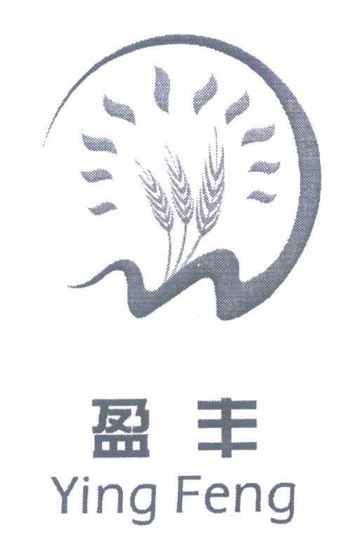 盈丰