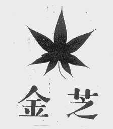 金芝