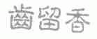 齿留香