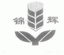 锦辉