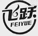 飞跃