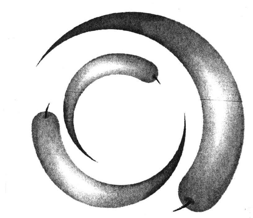 图形