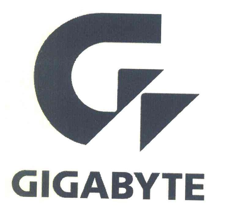 GIGABYT G