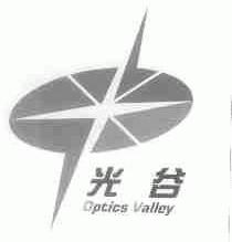 光谷;OPTICS VALLEY