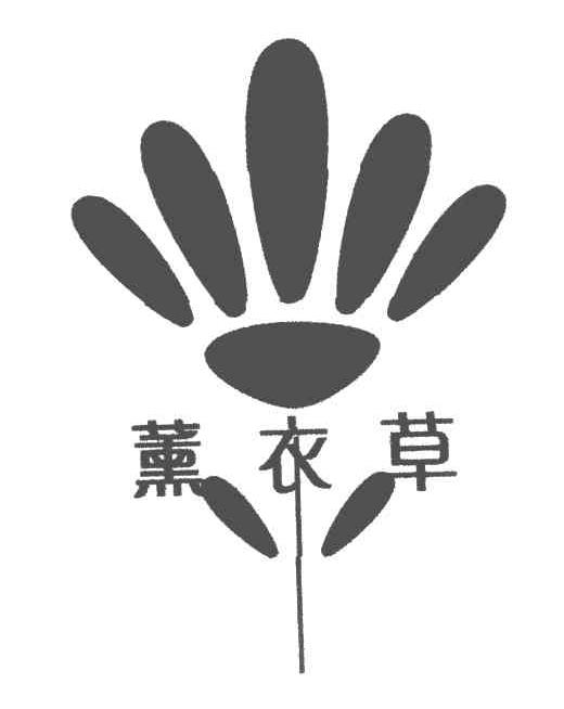 薰衣草