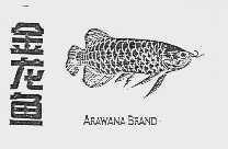 金龙鱼;ARAWANA