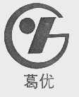 葛优