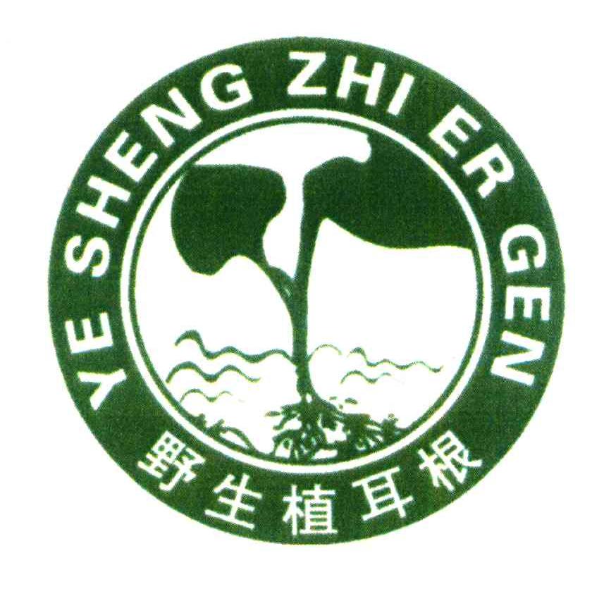 野生植耳根