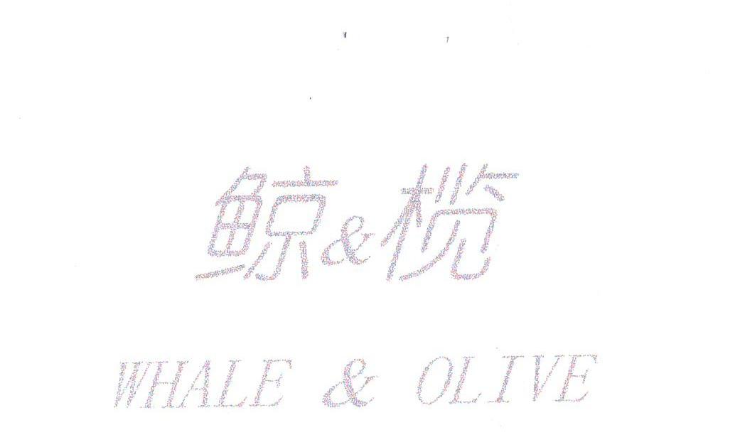 鲸榄;WHALE&OLIVE