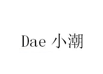 DAE 小潮
