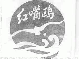 红嘴鸥