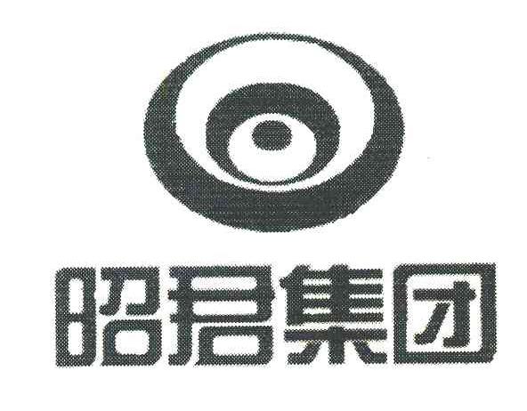 昭君集团