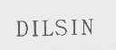 DILSIN