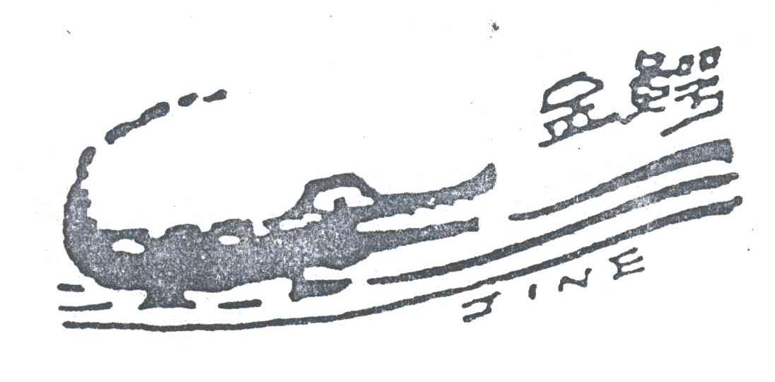 金鳄