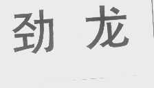 劲龙