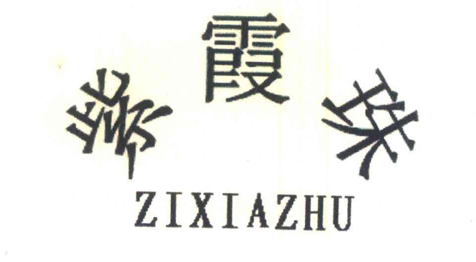 紫霞珠