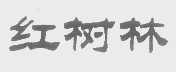 红树林