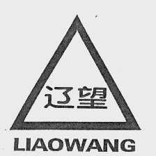 辽望