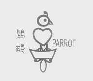鹦鹉   PARROT