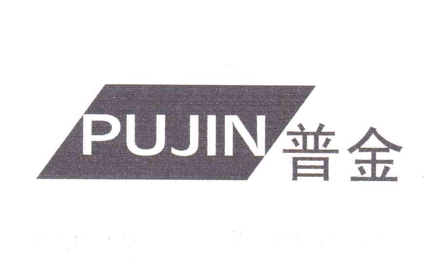 普金