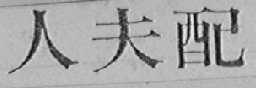 配夫人