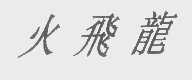 火飞龙