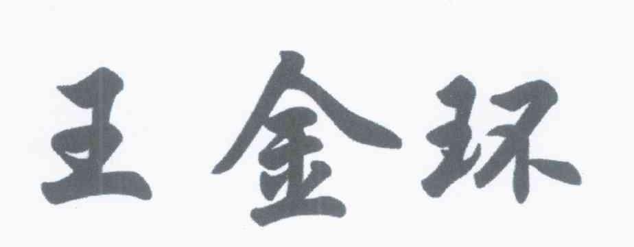 王金环