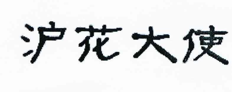 沪花大使