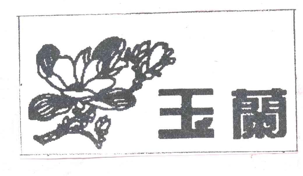 玉兰