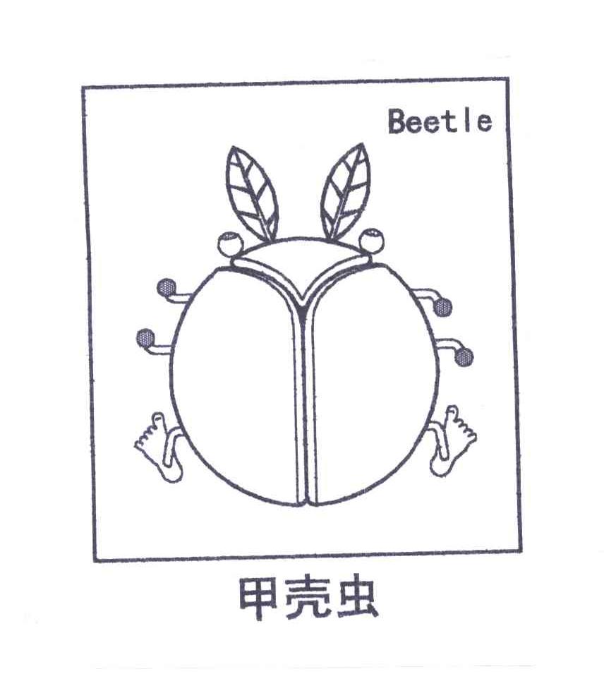 甲壳虫BEETLE