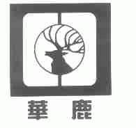 华鹿