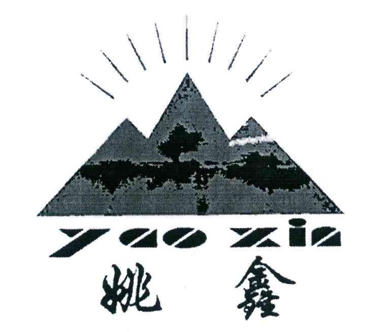 姚鑫