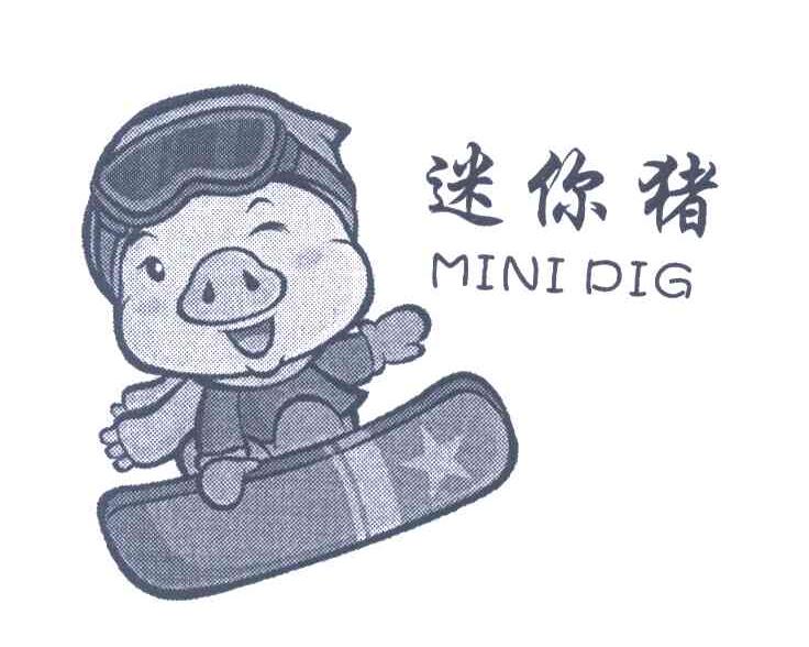 迷你猪 MINIPIG