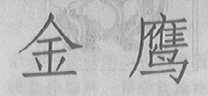 金鹰