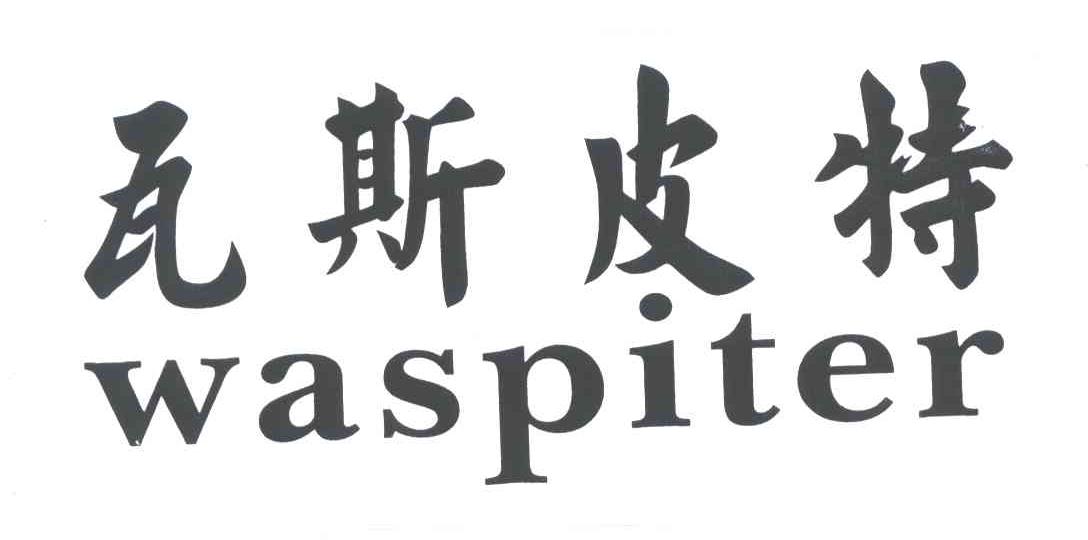 瓦斯皮特;WASPITER