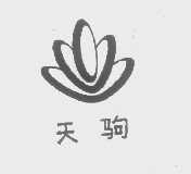 天驹