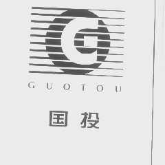 国投