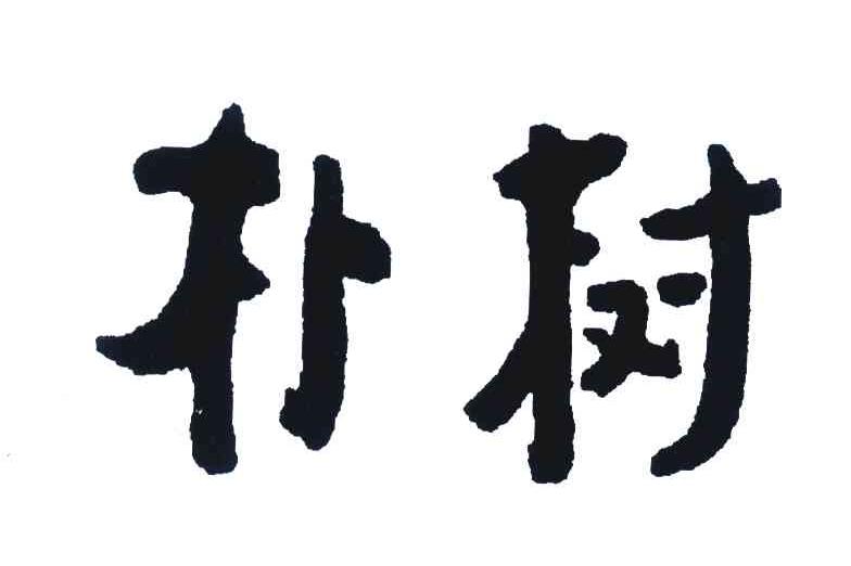 朴树