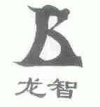 龙智