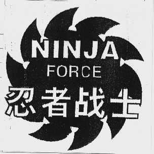 忍者战士   NINJA FORCE