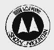 雪山  SNOW MOUNTAIN