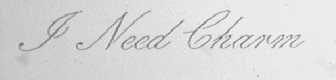 ZNEED CHARM
