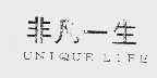 非凡一生  UNIQUE LIFE