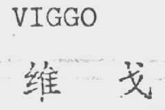 VIGGO    维戈
