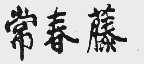常春藤