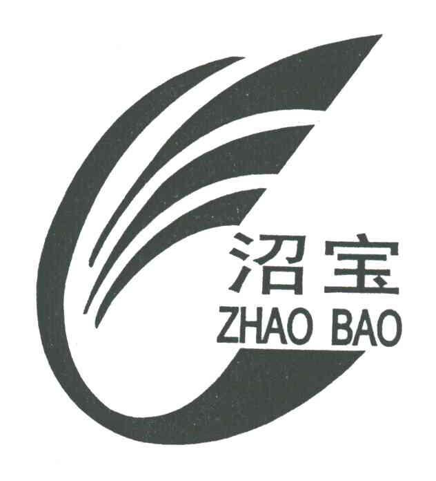 沼宝