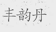 丰韵丹