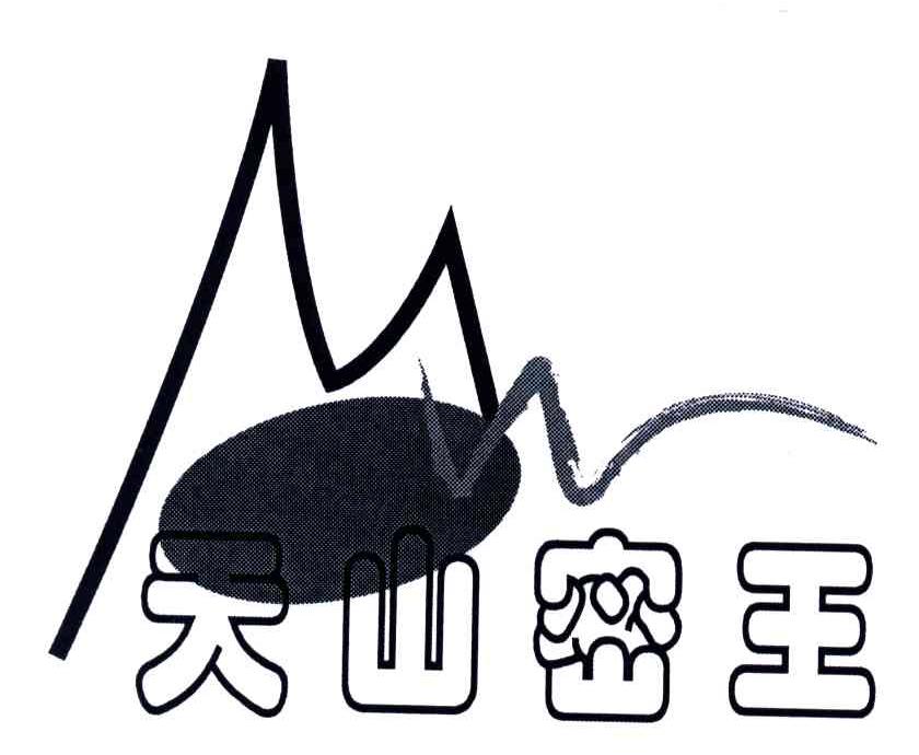 天山密王