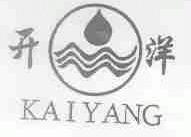 开洋