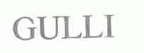 GULLI